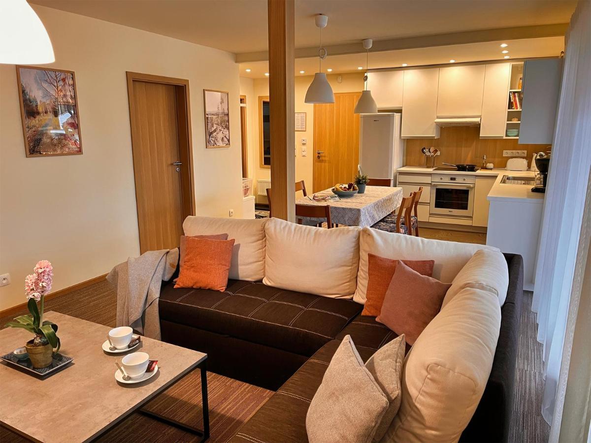 Apartmany Friends Tatry 韦尔卡鲁穆尼卡 外观 照片