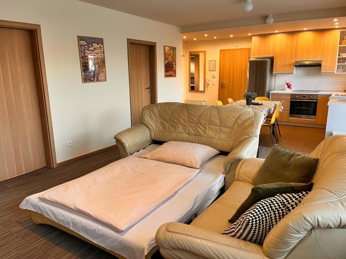 Apartmany Friends Tatry 韦尔卡鲁穆尼卡 外观 照片