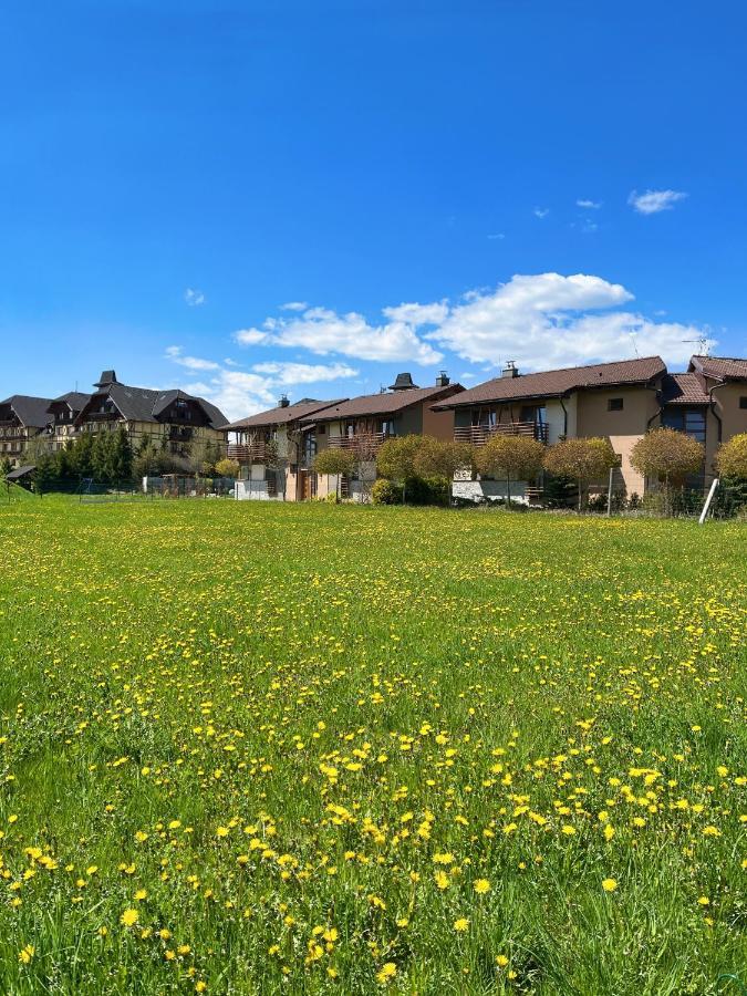 Apartmany Friends Tatry 韦尔卡鲁穆尼卡 外观 照片
